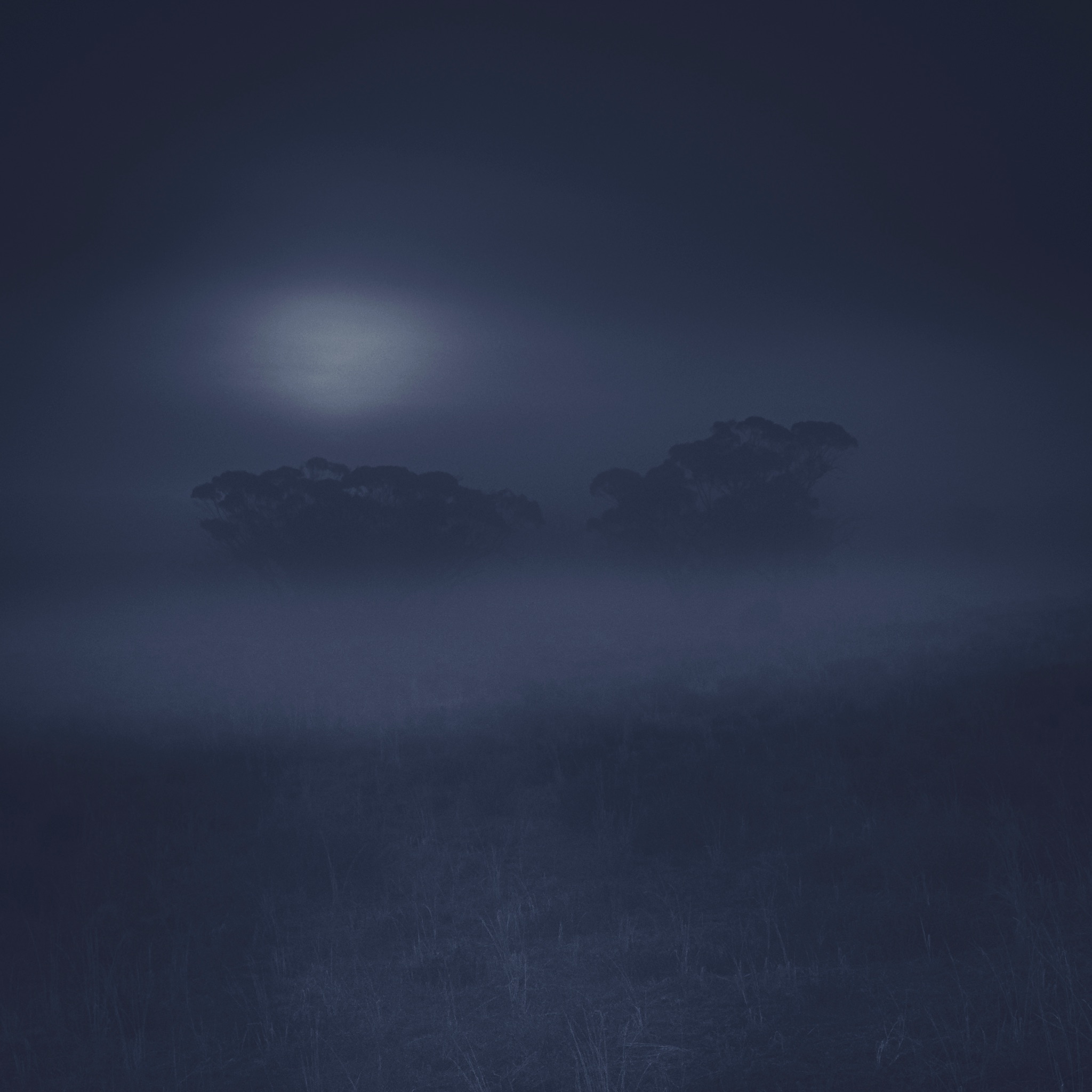 Misty Moonrise 5